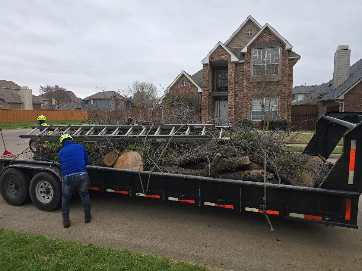 Expert Tree Pest Control with proper safety equipment in Knob Lick